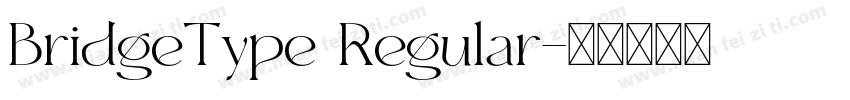 BridgeType Regular字体转换